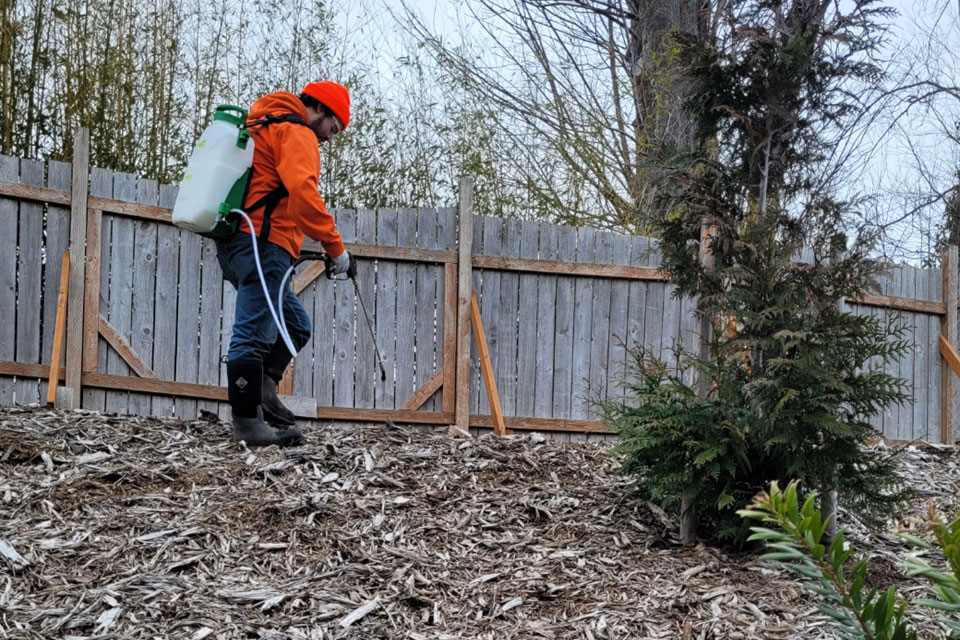 about-img-Dependable-Yard-Care-and-Landscapes-wa-2